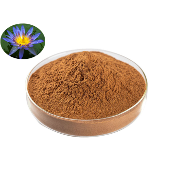 Top Quality Wholesale Blue Lotus Flower Extract Powder
